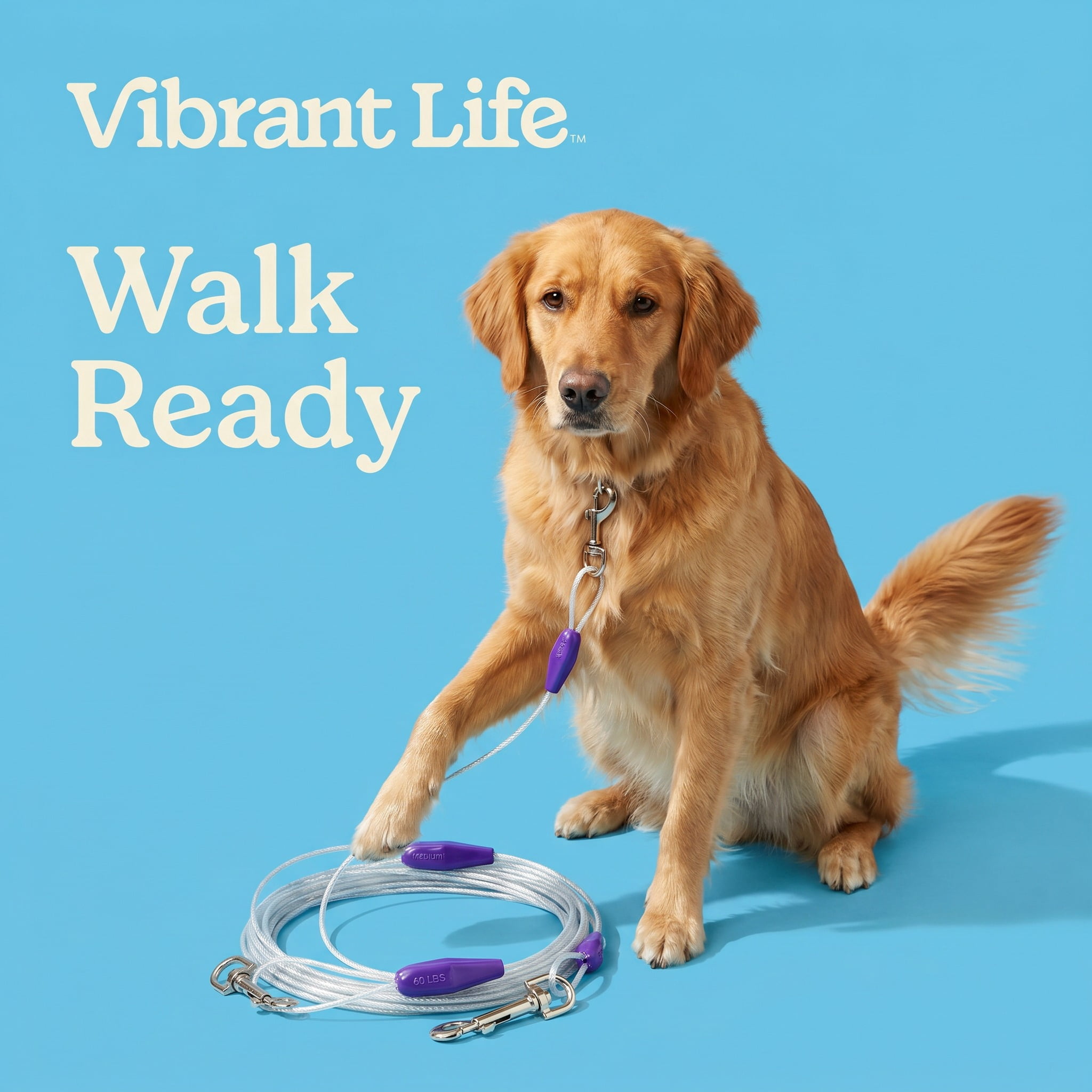 Vibrant Life Reflective Vinyl-Covered Tie-Out for Dogs, M, 40'