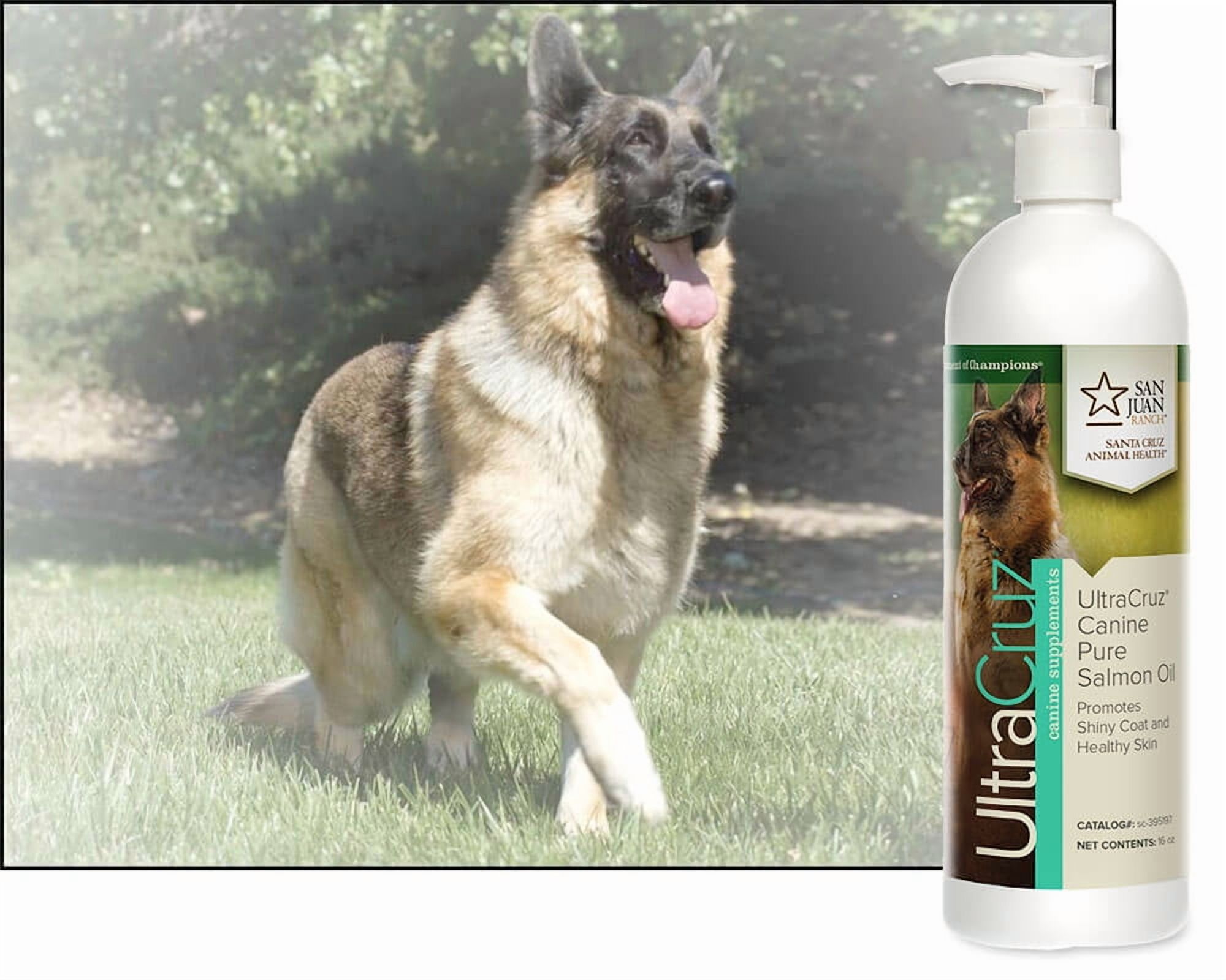 UltraCruz® Canine Pure Salmon Oil, 16 oz