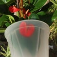 thumbnail image 4 of LEEYNEER 20 Pcs Transparent Flower Pot Nursery Pots Clear Flowers 6 Inch for Plants Orchid, 4 of 6