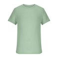 thumbnail image 3 of JUNWELL T-Shirts pour Hommes Grande Taille Manches Courtes T-Shirts Col Rond Classiques Été Hauts pour Hommes, 3 of 5