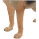 thumbnail image 2 of Realistic Large German Shepherd Plush - Stuffed Dog Model For Home Decor, 2 of 5