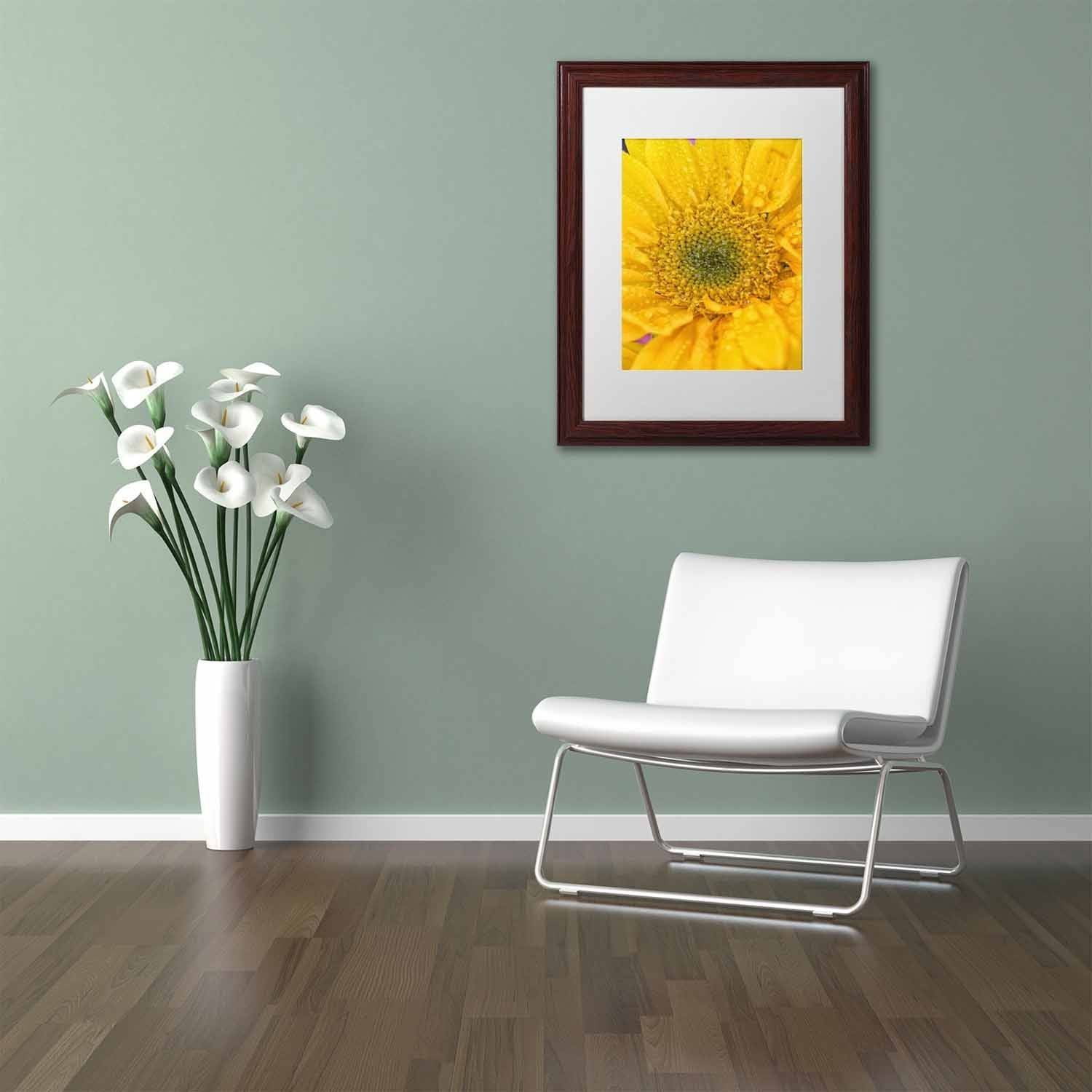 Trademark Fine Art 'Joyful Color' Canvas Art by PIPA Fine Art, White Matte, Wood Frame