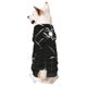 thumbnail image 1 of Fotbe Spiders On The Web Sudadera con Estampado para Perros Pequeños – Suéter con Capucha para Mascotas, Tela Suave de Forro Polar con Bolsillo-Large, 1 of 7