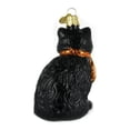 thumbnail image 3 of Old World Christmas 3.50In Halloween Kitty, Glass, Black Cat Spooky 26033, 3 of 4