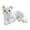 White, variant on Soft Animal Realistic Calico Cat Stuffed Doll For Kids Birthday Cute Plushie