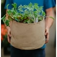 thumbnail image 3 of SMART POT 30 Gallon Fabric Grow Bag - Natural, 3 of 5