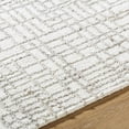 thumbnail image 6 of BoutiqueRugs Tibby Traditional, Transitional Area Rug - Light Silver, Silver Gray - 8' x 10', 6 of 8