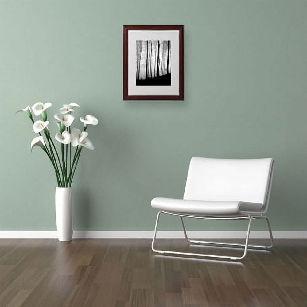 Trademark Fine Art "Black Lines" Canvas Art by Philippe Sainte-Laudy, Wood Frame