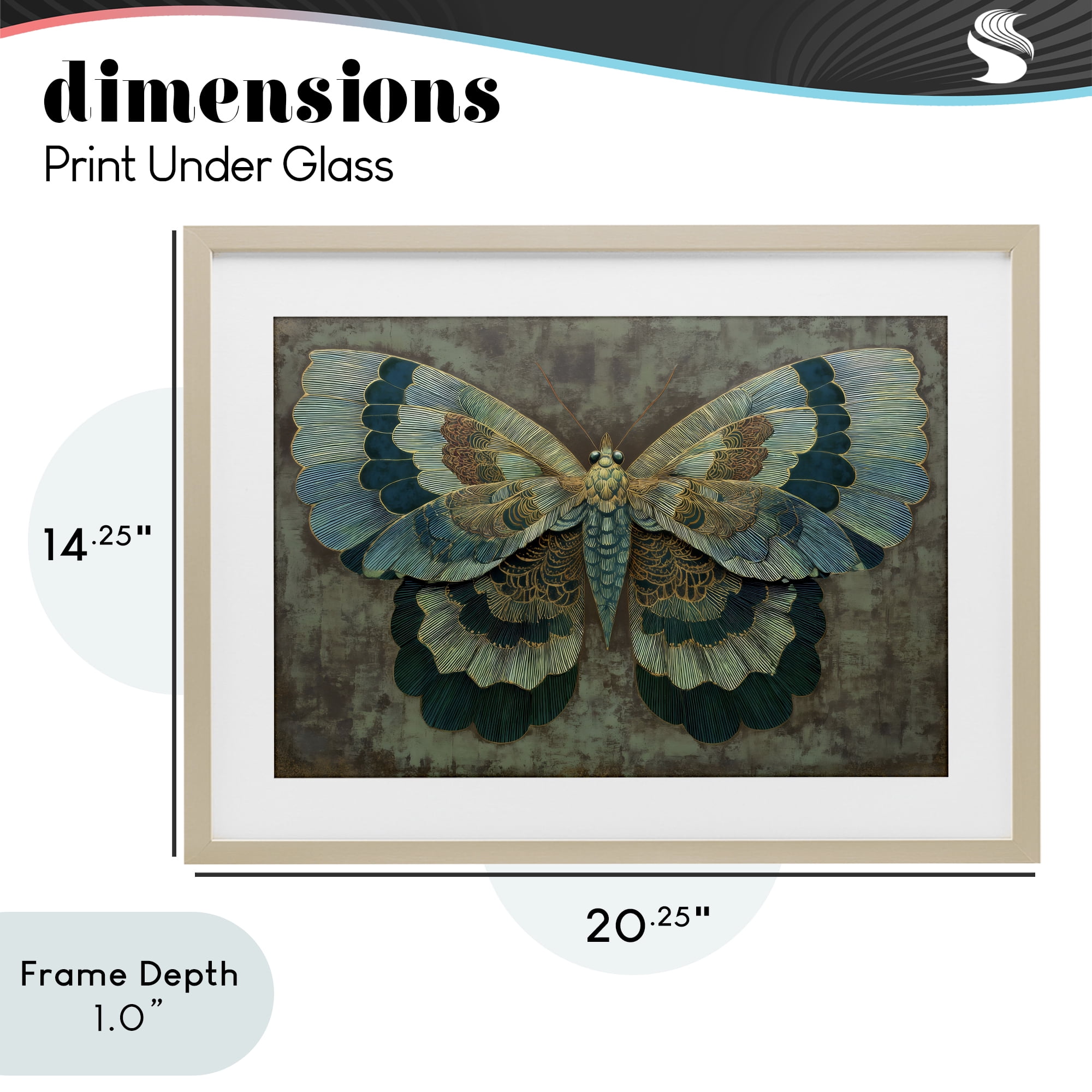 Stupell Industries Golden Jewel Butterfly Birch Framed Print Under Glass, design by Petal Prints Design