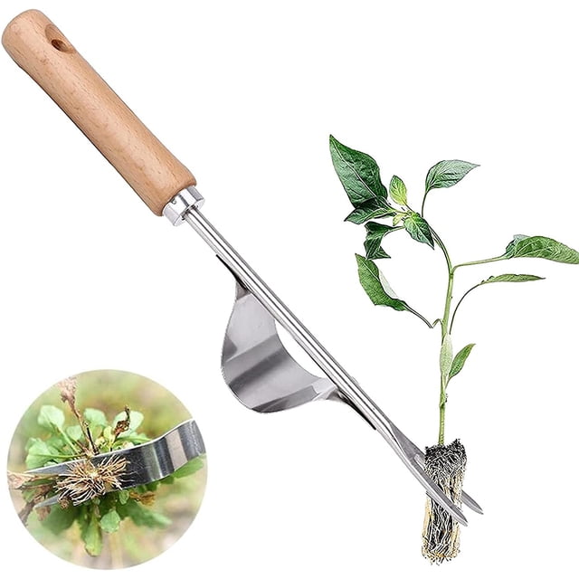 Herramienta de deshierbe manual de acero inoxidable con mango de madera, herramienta de desmalezado manual para mangos de deshierbe, extractor de diente de león, césped de jardín