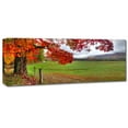 thumbnail image 2 of Trademark Fine Art 'Fall Foliage' Canvas Art by Doug Cavanah, 2 of 3