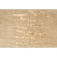thumbnail image 1 of Ahgly Company Indoor Rectangle Contemporary Sand Brown Solid Area Rugs, 3' x 5', 1 of 6