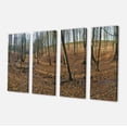 thumbnail image 2 of Bois dans la Forêt d'Automne Panorama - Impression sur Toile d'Art de Forêt, 2 of 3