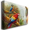thumbnail image 2 of Trademark Fine Art "Amazon Waterfall" Canvas Art, 2 of 3
