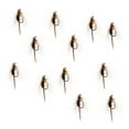 thumbnail image 2 of 12 Piezas de Moscas de Pesca Cola Señuelos de Pesca Cebos Artificiales Bead Head Prince Nymph, 2 of 6