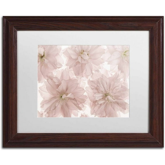Trademark Fine Art 'Prunus Blossom' Canvas Art by Cora Niele, White Matte, Wood Frame