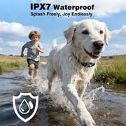 PetJoy 2 in 1 Dog Shock Collar with Remote 2 Dogs,3300Ft Dog Training Collar with 4 Modes,IPX7 Waterproof Bark Collar for Small to Large Dogs with Flashlight,2 Count