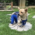 thumbnail image 1 of Chaqueta impermeable para perros Yinane ropa camuflaje reflectante M Azul, 1 of 7