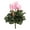 Pink, variant on Vickerman 11" Artificial Polyester Red Cyclamen Bush