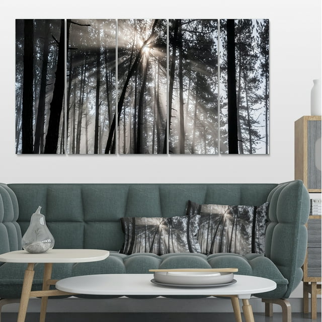 Design Art - Faisceaux de Soleil à Travers Forêt Noire et Blanche