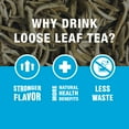 thumbnail image 2 of Tiesta Tea - Silver Needle White Tea, Single Origin Premium White Loose Leaf from China, 100% Pure Unblended Low Caffeinated Tea, Make Hot or Iced Tea & Up to 200 Cups - 12oz Resealable Bulk Pouch, 2 of 9