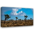 thumbnail image 1 of Erin Berzel 18x13 Gallery Wrapped Canvas Wall Art Titled - Blue Sky II, 1 of 4