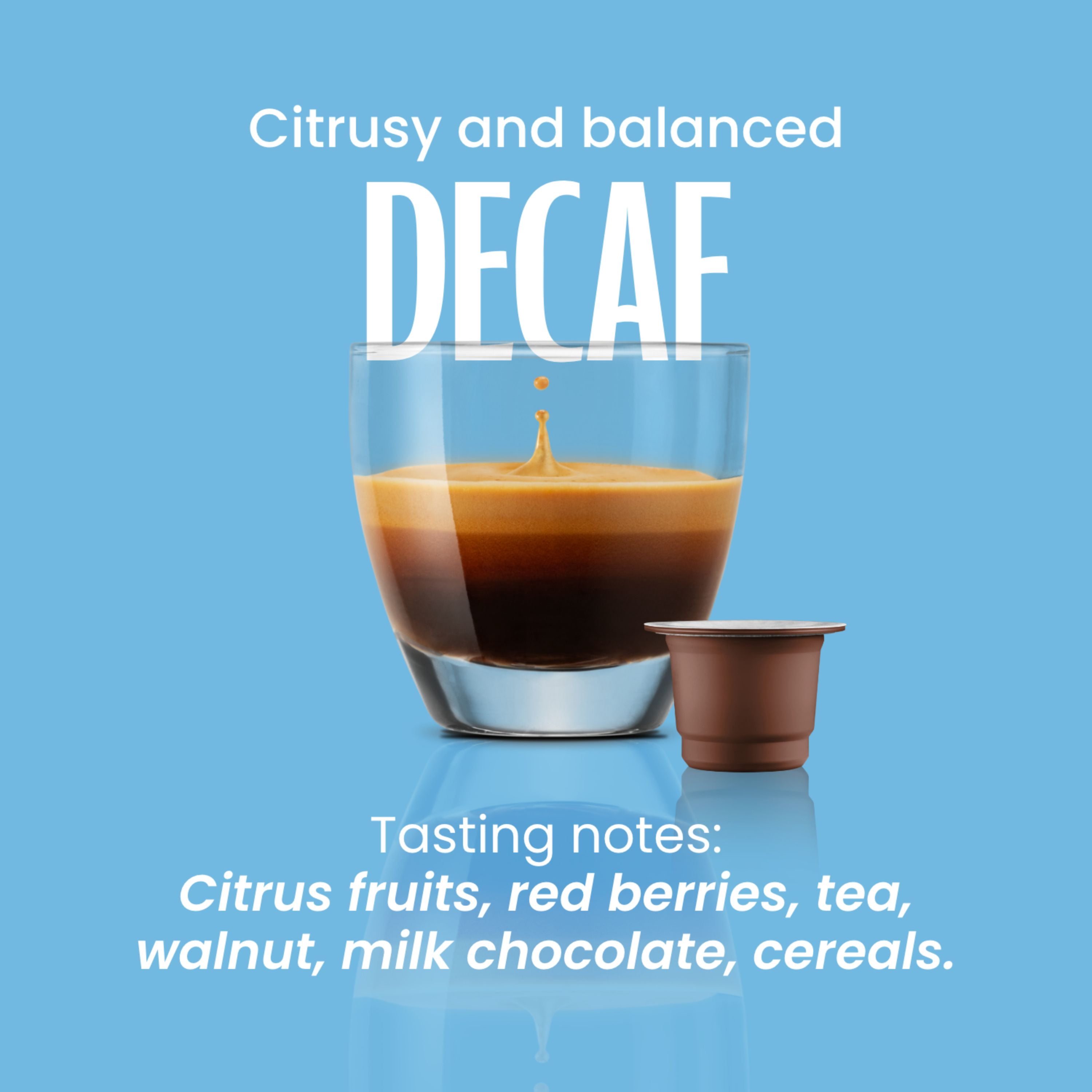Caffe' Vergnano 1882 Decaf Medium Roast Espresso Original Line Machine Compatible Capsules, Arabica Robusta Espresso Coffee, Italian Coffee for Nespresso Machines, Intensity 5/10, Decaffeinato, 50 Ct