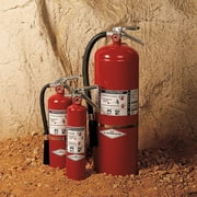 Amerex Rechargeable BC- Dry Chemical Fire Extinguishers, Steel Red