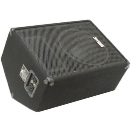Seismic Audio Fault Line FL-12MP 2-way Indoor Floor Standing Speaker, 300 W RMS, Black