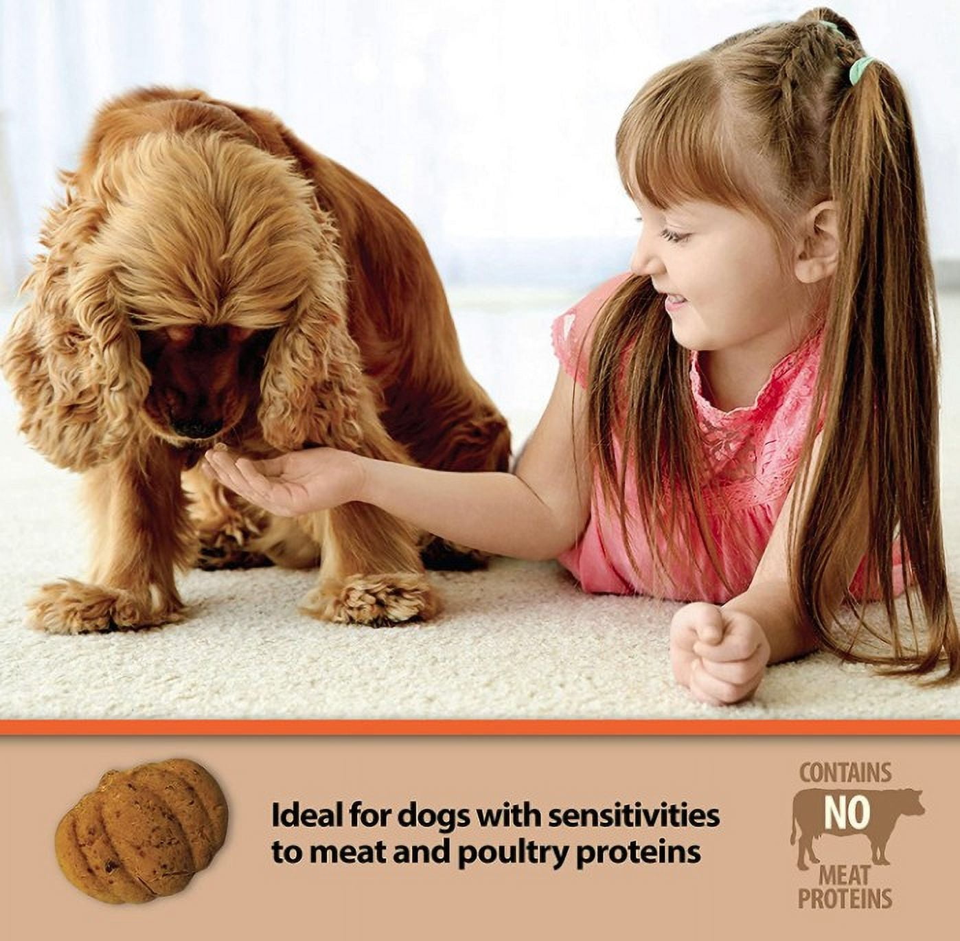 4 Pack Emerald Pet Pumpkin Harvest Oven Baked Dog Treats with Blueberry [USA Dog Treats, Bulk Dog Supplies, Emerald Pet] 24 oz (4 x 6 oz)