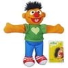 Sesame Street Ernie Hugs Forever Friends