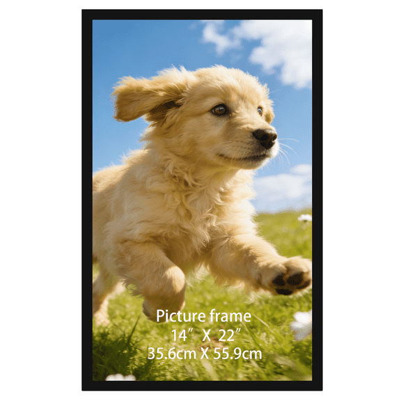 14x22 Poster Frame for Wall Decor, Black