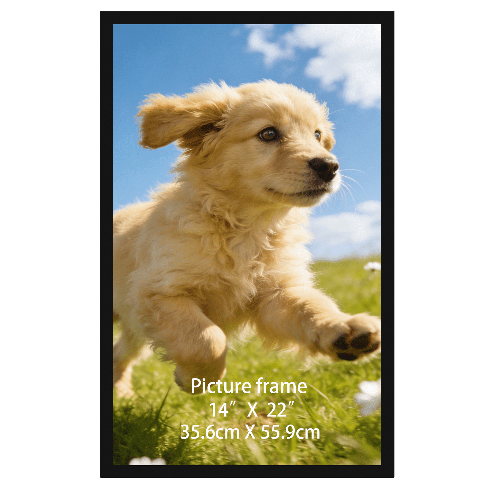 14x22 Poster Frame for Wall Decor, Black