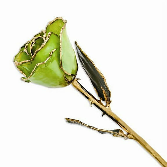 24k Gold Plated Trimmed Peridot Topaz Rose