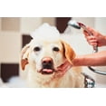 thumbnail image 5 of Shampoo medicado Mane 'n Tail Pro-Tect 946 ml, 5 of 5