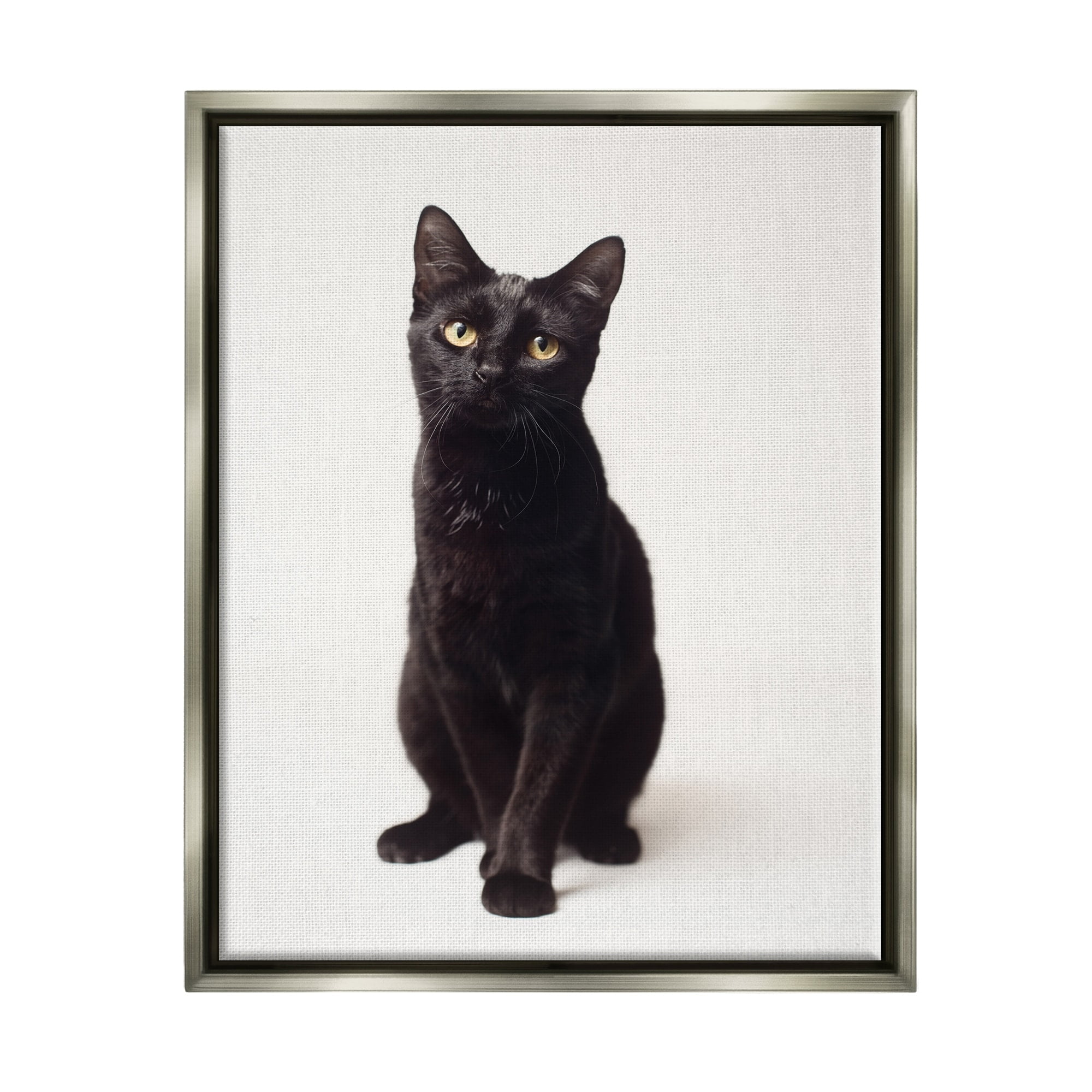 Stupell Industries Cute Black Cat Expressive Eyes Pet Portrait Luster Gray Framed Floating Canvas Wall Art, 24x30, by Marika Moffit