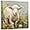 Sheep Canvas Wall Art, variant on ZHONGYUTONG Sheep Canvas Wall Art Lamb and Flower Picture Rustic Cute Farm Animal Painting Country Poster for Farmhouse Decor Framed (12.00" x 12.00")