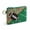Green, variant on Sulaicai Women's Football Game Day Beaded Zipper Coin Purse with Key Ring, Compact Sports Themed Mini Clutch Wallet for Game Day & Daily Use