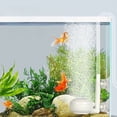thumbnail image 2 of BeesClover Aquarium Mini Air Pump, CO2 Diffuser for Aquarium, CO2 Atomizer Diffuser Bubble Counter Check with Suction Cup for Aquarium Planted Fish Tank Supply Accessories, 2 of 7