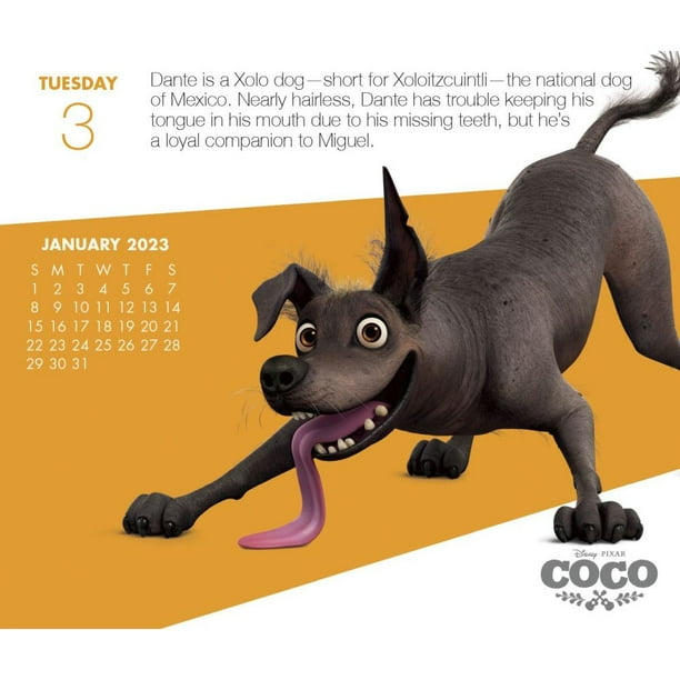 Xolo Coco Miguel Dog Dante Xoloitzcuintle Dog Coco Style Alebrije