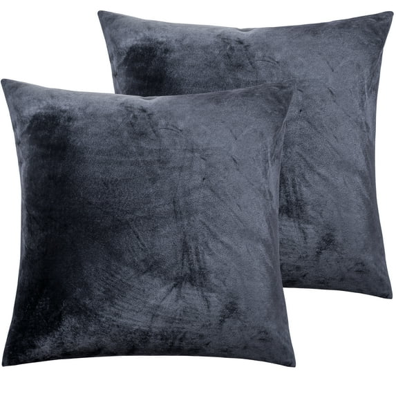 NTBAY 2 Pack Velvet Throw Pillow Cover, Soft Decorative Square Pillowcase, Cushion Cover with Hidden Zipper, 22"x22", Charcoal Gray