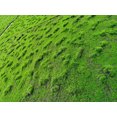thumbnail image 1 of Simulación de césped de musgo, plantación de piel, simulación de césped, césped, planta de piedra de musgo, planta de simulación de musgo, pared de césped, 1 of 5