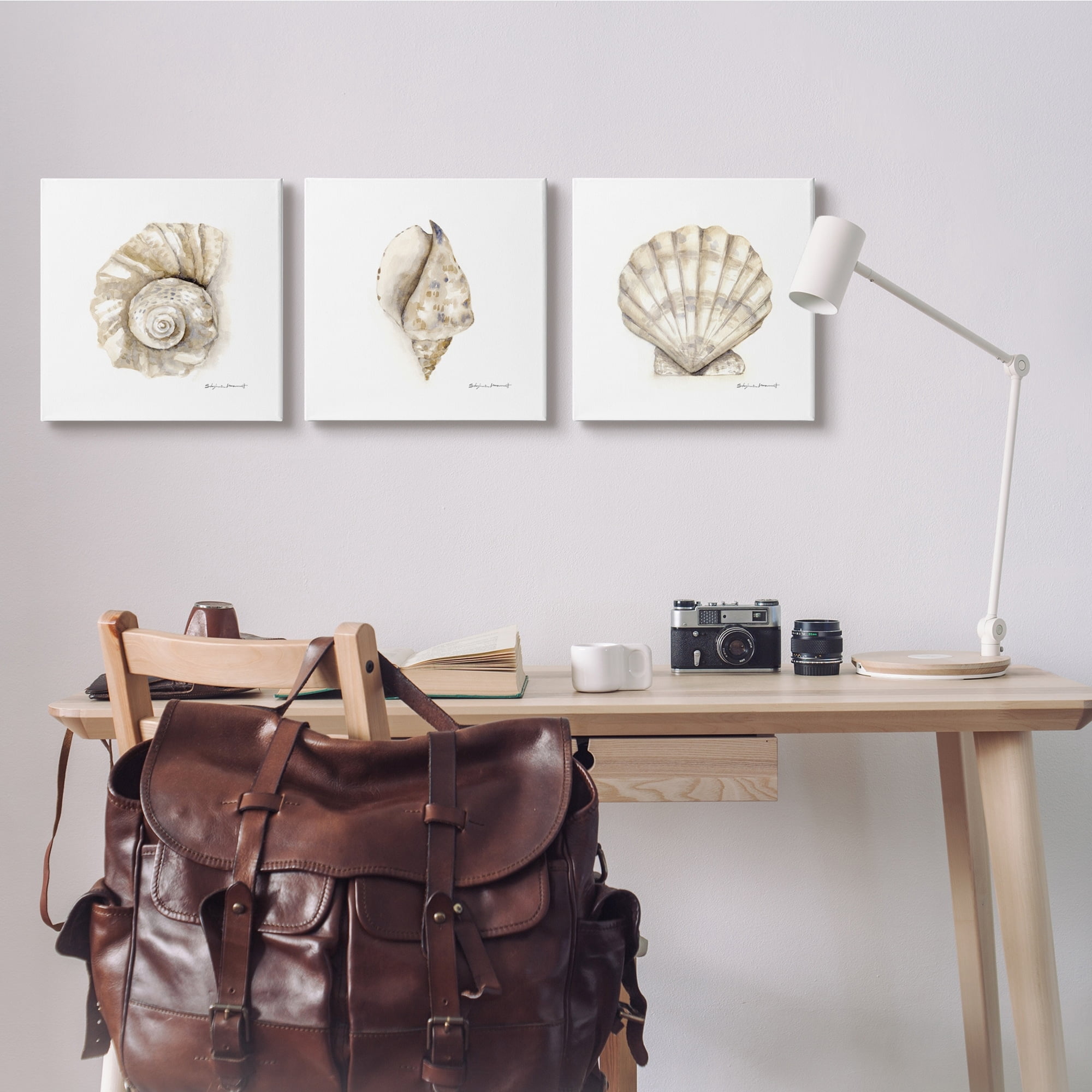 Stupell Industries Soft White Patterned Seashells Nautical Natural Neutrals, 17 x 17,Design by Stephanie Workman Marrott