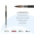 thumbnail image 2 of New York Central Oasis Synthetic Premium Brushes - Elite Professional Watercolor Brushes for Artists, Painting, Students, Studios, & More! - [French Quill - Size #10], 2 of 7