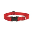 thumbnail image 1 of Collier pour Chien Lupin 12-20 Pouces ADJ Rouge (Lot de 1), 1 of 1