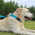 thumbnail image 3 of HAHDAXIA Collier Martingale pour Chiens avec Boucle à Dégagement Rapide, Collier Réfléchissant Robuste pour Chiot pour la Sécurité, Colliers en Nylon Ajustables pour Chiens de Petite, Moyenne et Grande Race pour la Marche et l'Entraînement, Ciel, 3 of 7