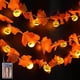 thumbnail image 2 of Luces de Halloween Ormromra Cadena de Luces LED Calabaza Decoración de Otoño, 2 of 8