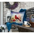 thumbnail image 4 of Cardinal Throw Pillow 18 in x 18 in, 4 of 5