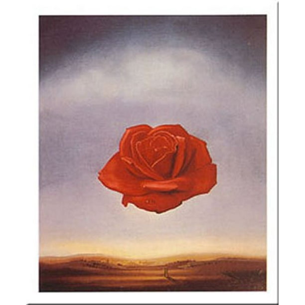 Salvador dali picture