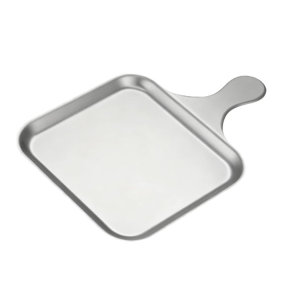 Giaone Stainless Steel Serving Plate with Handle For Picnics Camping Dinner Dish Tray